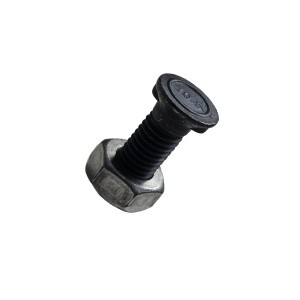 Śruba płużna z nakrętką M10x30 10.9 dwunoskowa łeb 16mm